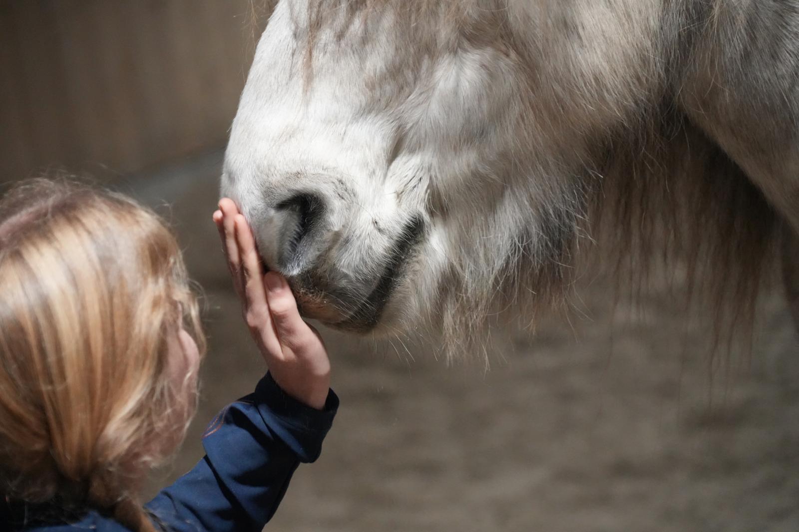 Paardencoaching Réson